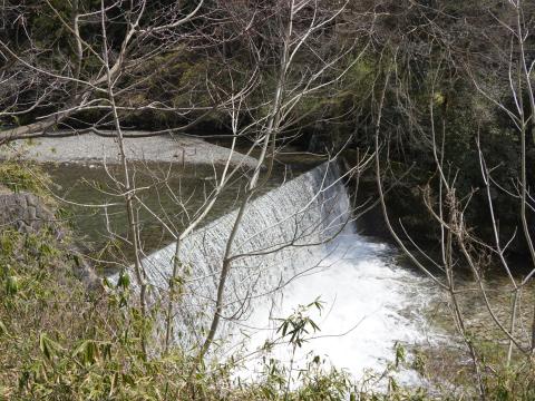 高野川