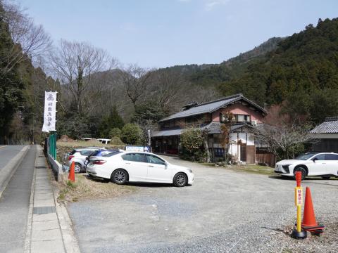 猫猫寺