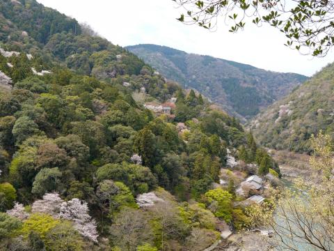 保津峡