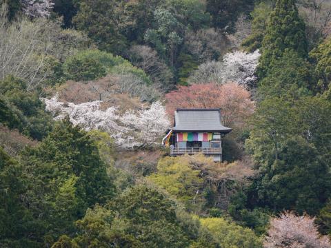 大悲閣千光寺