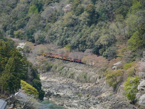 嵯峨野観光鉄道