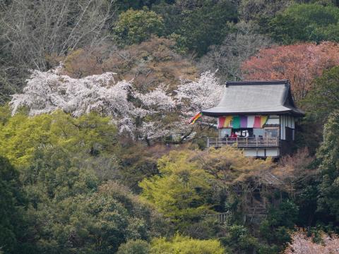 大悲閣千光寺