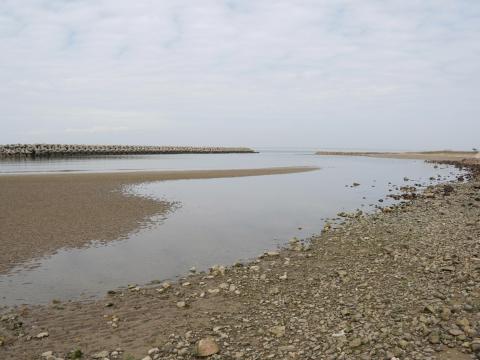 尾崎の浜