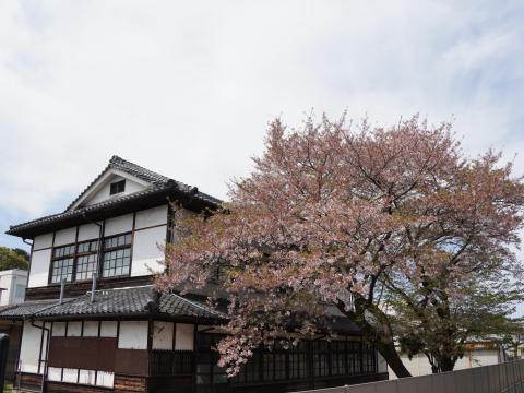 桜井高校