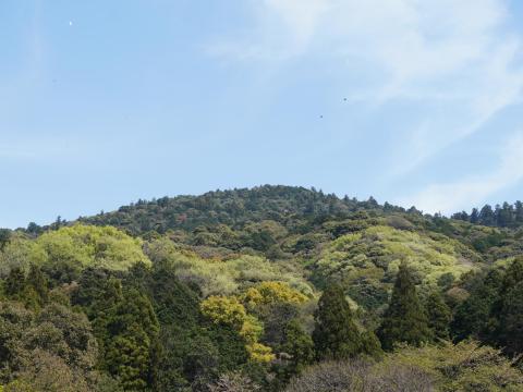 三輪山