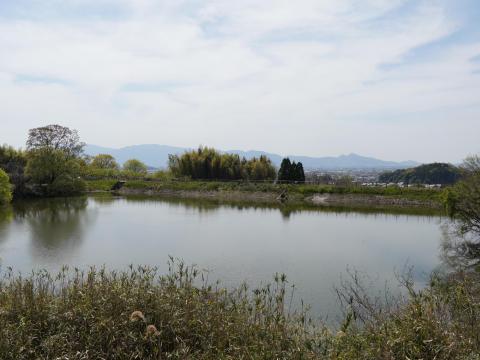 井寺下池