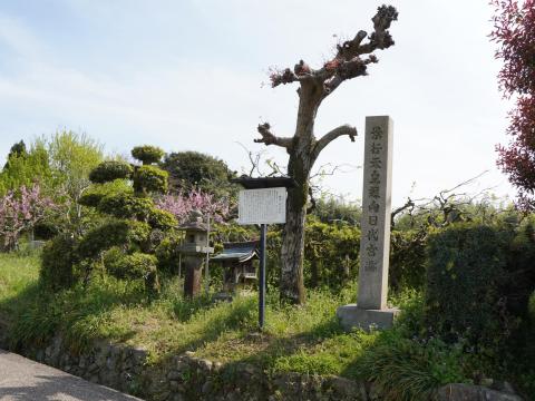 景行天皇纒向日代宮跡