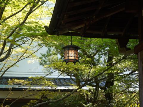 吉城園