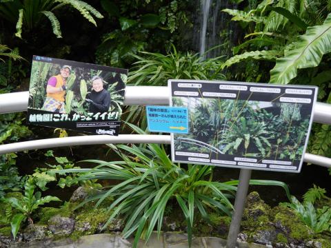咲くやこの花館