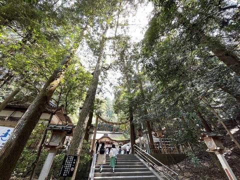 狭井神社
