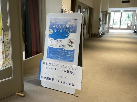 みんなで守ろう海わたる鳥展