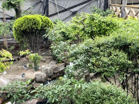 鳥の楽園
