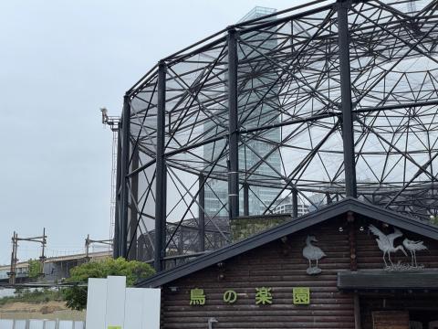 鳥の楽園