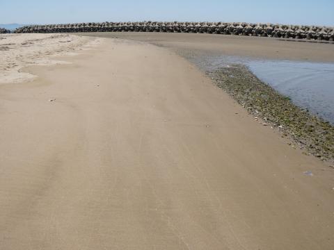 尾崎の浜