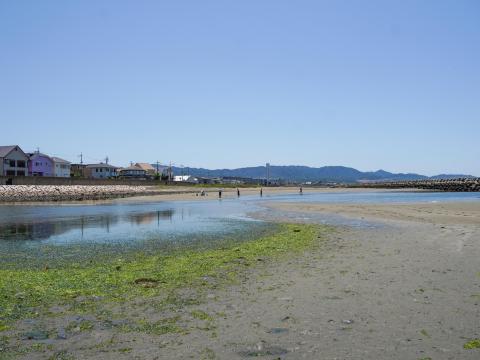 尾崎の浜