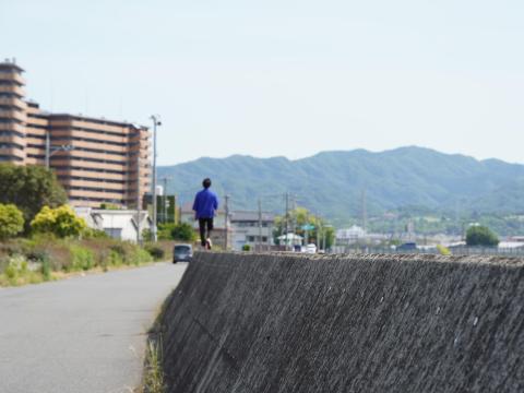 男里川右岸