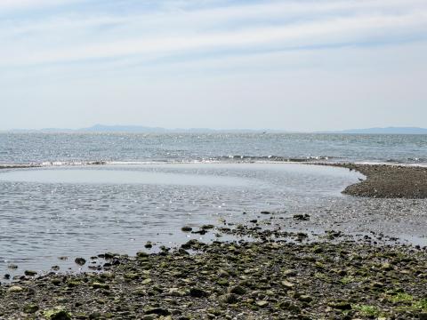 男里川右岸河口