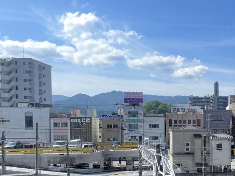 桜井
