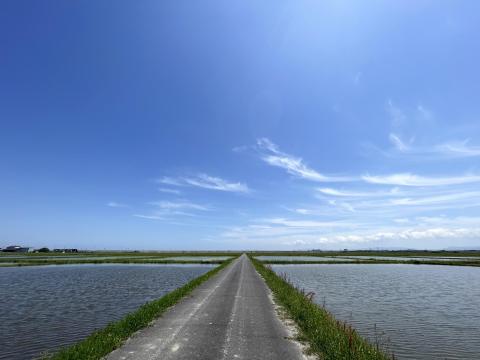 松笠市五主町