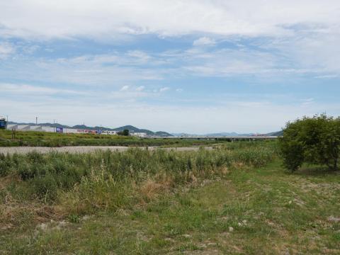 猪名川河川敷