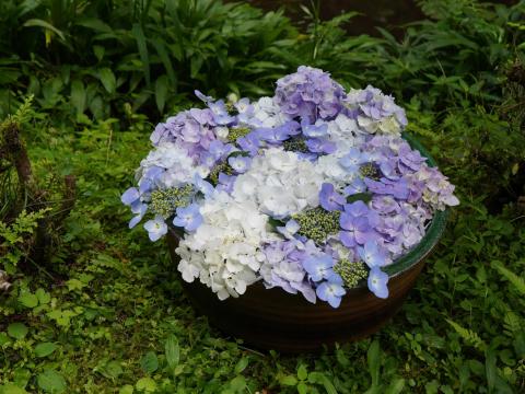 花手水