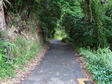 山道