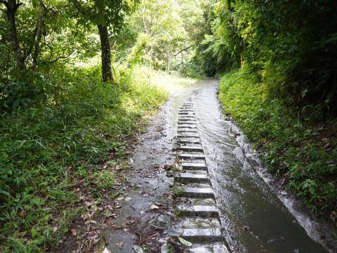 長尾渓