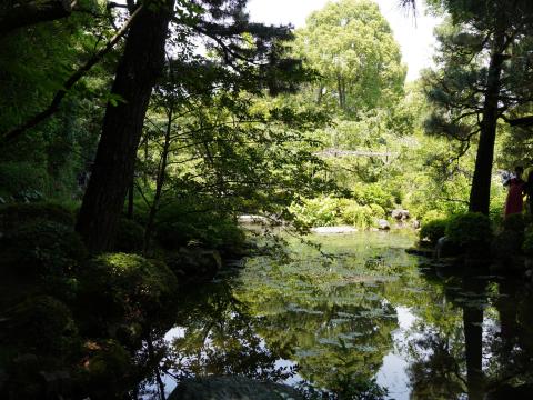 西神苑の池