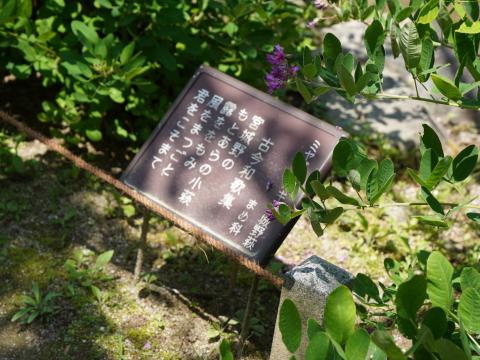 古今和歌集