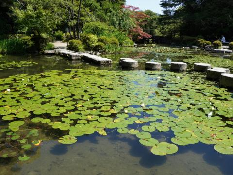 臥龍橋