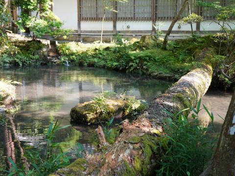 法然院
