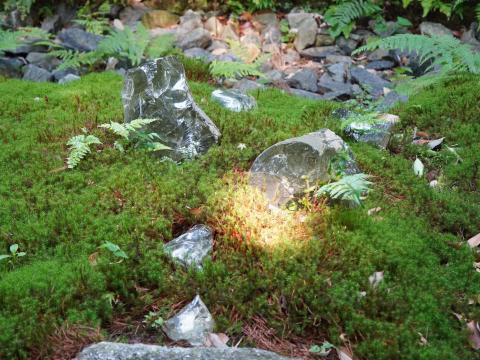 ガラス枯山水