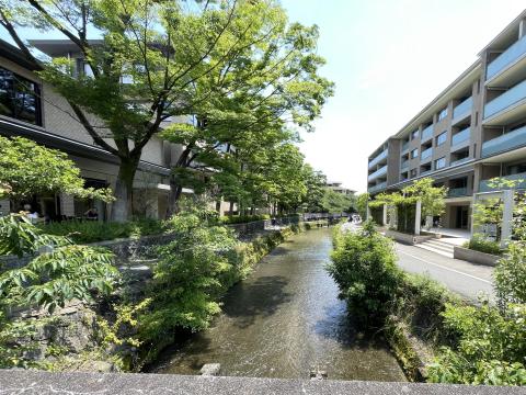 白川