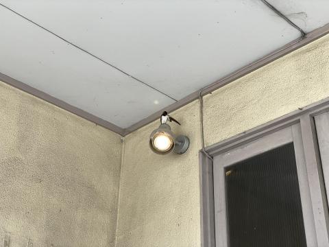 ツバメ