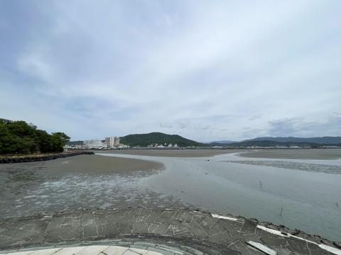 和歌浦干潟