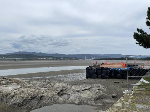 和歌浦干潟