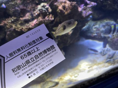 和歌山県立自然博物館