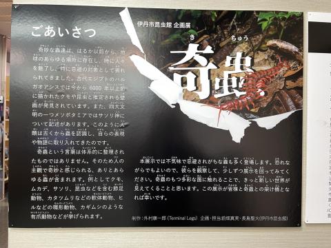企画展 奇蟲ごあいさつ