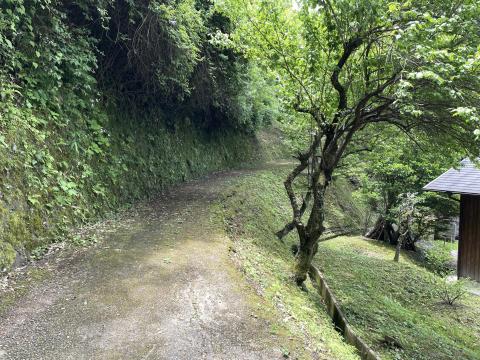 石仏の道