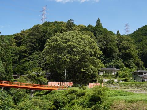 流谷八幡神社