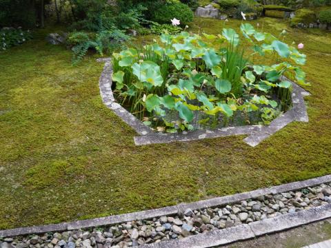 巴の庭