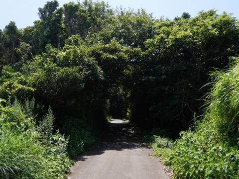 菅島