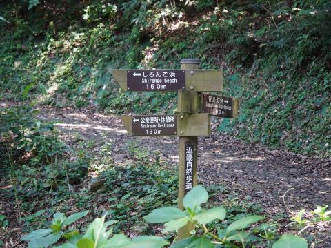 分岐点