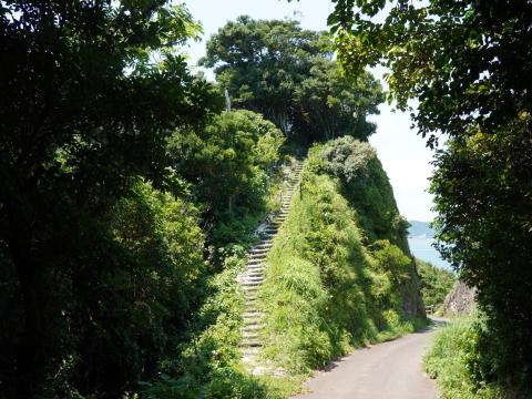 切り通しの崖