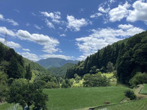 金剛山