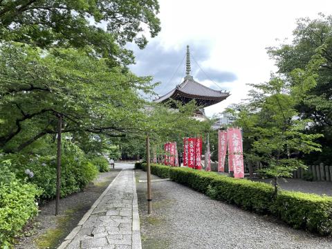 多宝塔