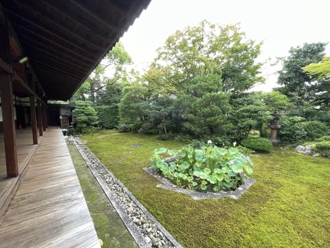 本法寺巴の庭