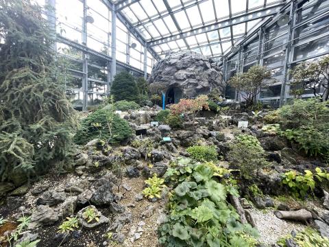 高山植物室