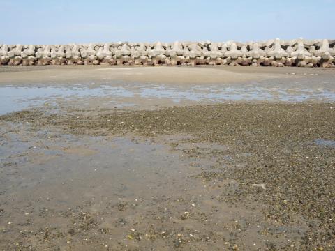 福島海岸