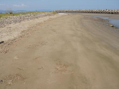 福島海岸